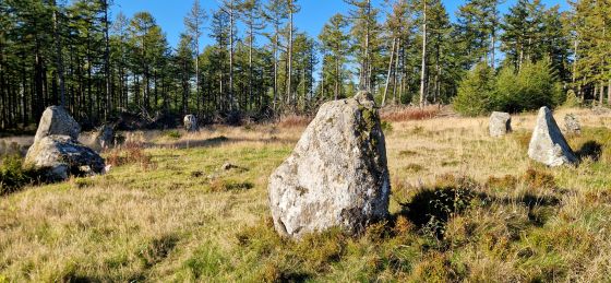 Nine Stanes (Stone Circle)