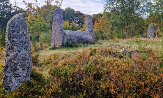 Cothiemuir Wood (Stone Circle)
