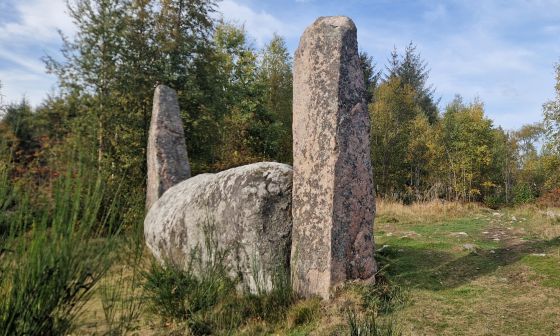 Cothiemuir Wood (Stone Circle)