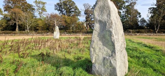 Balgorkar (Stone Circle)