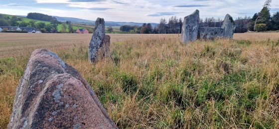 Balgorkar (Stone Circle)