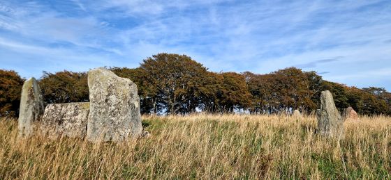 Balgorkar (Stone Circle)