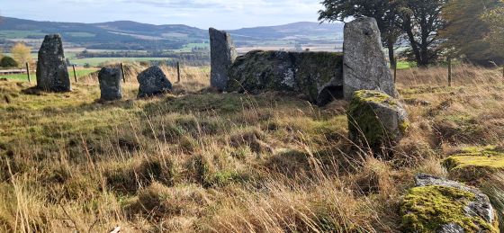 Old Keig (Stone Circle)