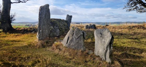Old Keig (Stone Circle)