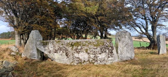 Old Keig (Stone Circle)