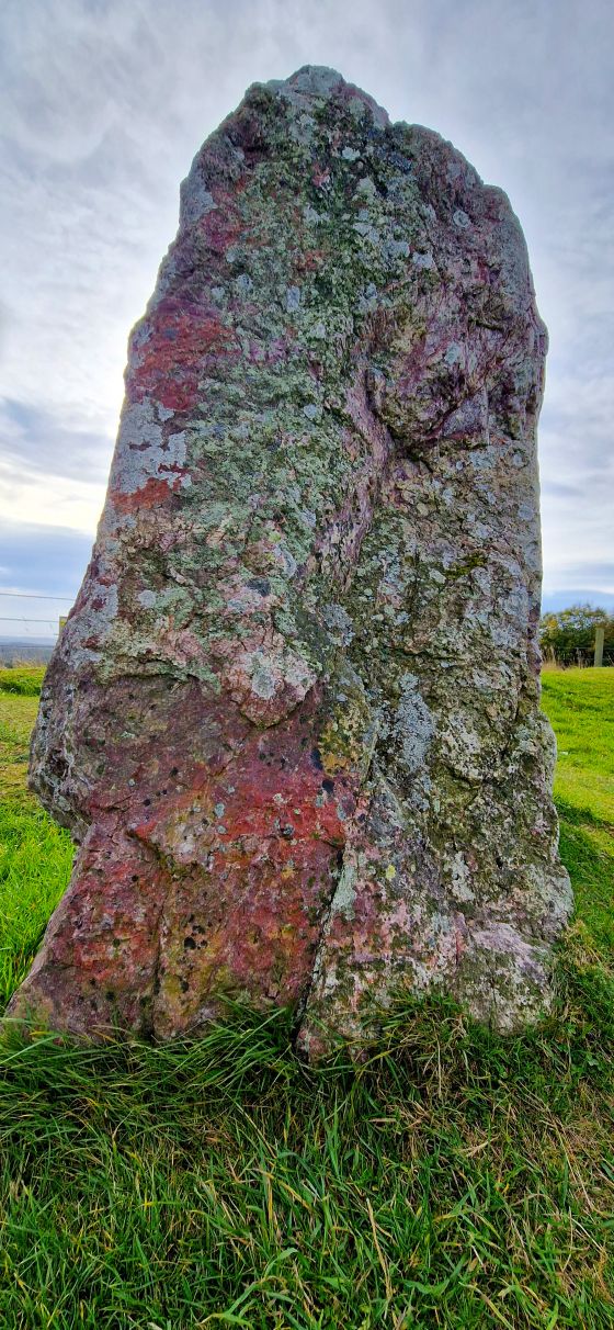 Easter Aquhorthies (Stone Circle)
