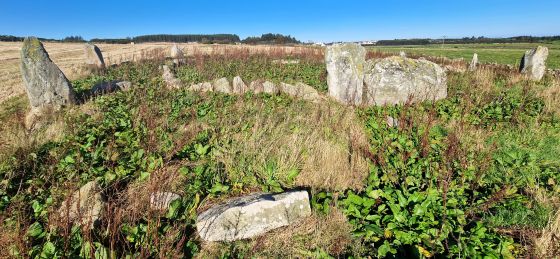 Aquhorthies (Stone Circle)