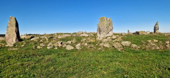 Old Bourtreebush (Stone Circle)