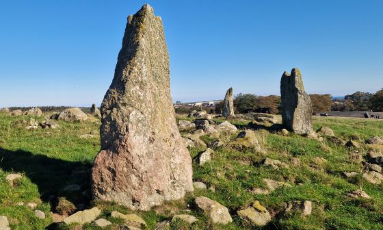Old Bourtreebush (Stone Circle)