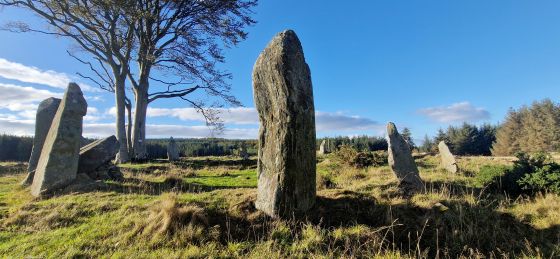 Tyrebagger (Stone Circle)