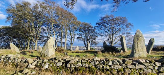 Tyrebagger (Stone Circle)