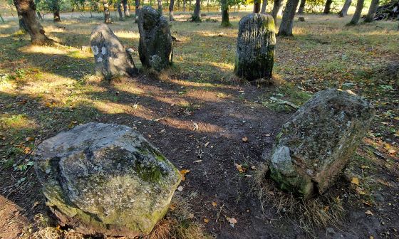 Image Wood (Stone Circle)