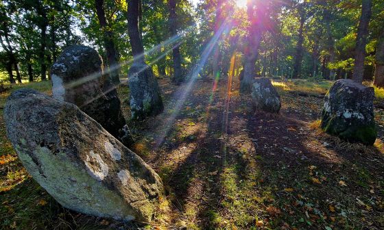 Image Wood (Stone Circle)
