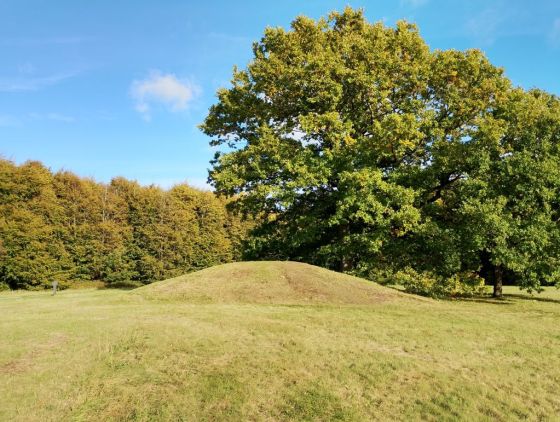 Gammel Hestehave Mound (411713) (Artificial Mound)