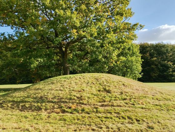 Gammel Hestehave Mound (411713) (Artificial Mound)