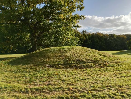 Gammel Hestehave Mound (411713) (Artificial Mound)