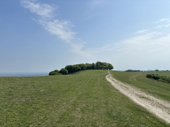 Chanctonbury Ring (Hillfort)