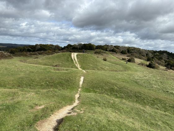 Kingley Vale (Barrow / Cairn Cemetery)