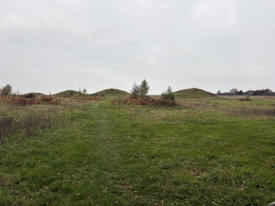 The Devil’s Jumps (Barrow / Cairn Cemetery)