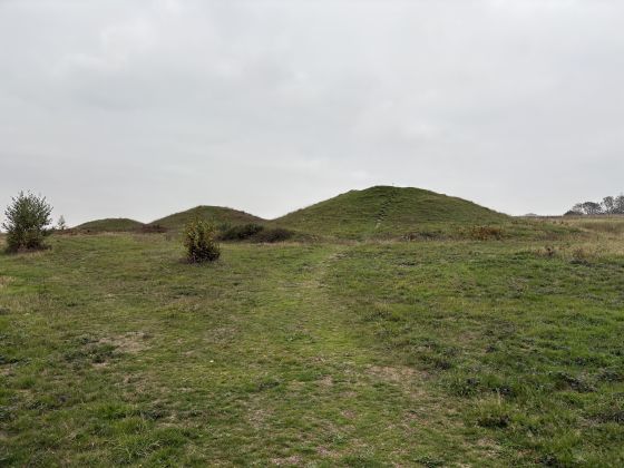 The Devil’s Jumps (Barrow / Cairn Cemetery)
