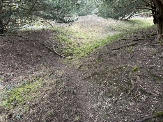 Goose Hill Camp (Hillfort)
