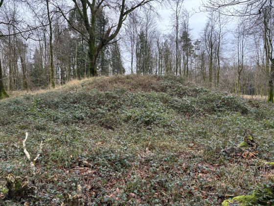 Waltham Down (Barrow / Cairn Cemetery)