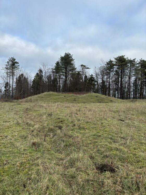 Heyshott Down (Barrow / Cairn Cemetery)