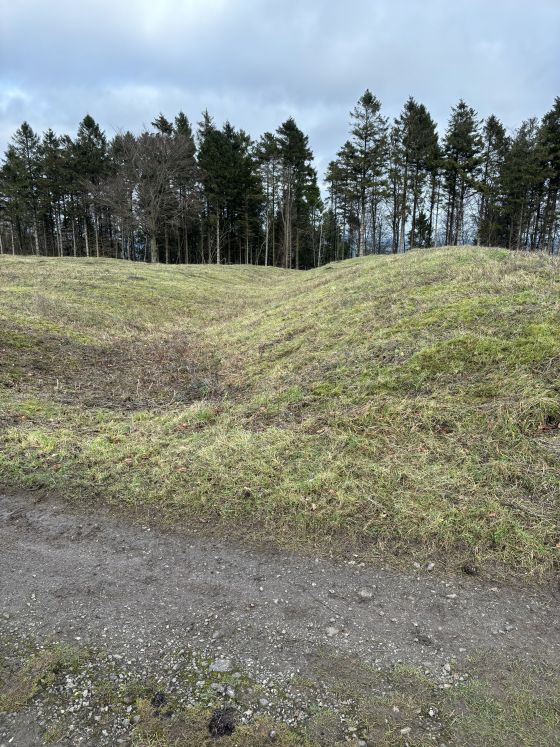 Heyshott Down (Barrow / Cairn Cemetery)