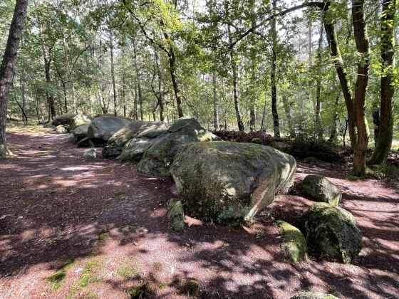 Werpeloh 2 (Passage Grave)