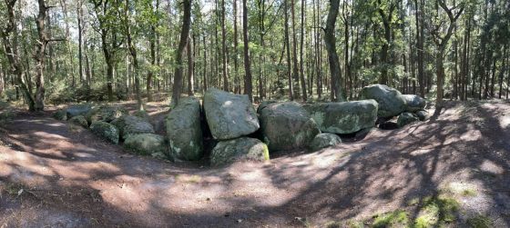 Werpeloh 1 (Passage Grave)