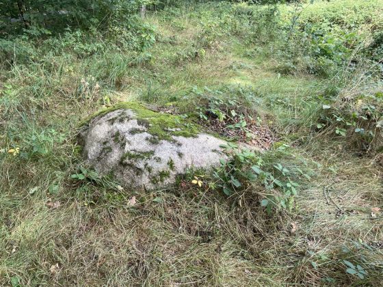 Zwölf Apostel (Ahlhorn) (Stone Setting)