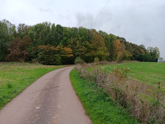 Berry Ring (Hillfort)