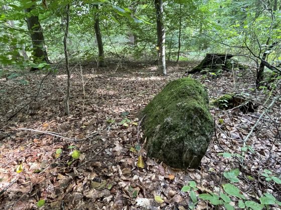 Ahlhorn Landwehrbäke (Chambered Tomb)