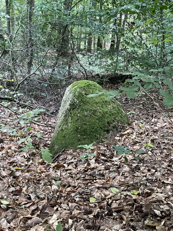 Ahlhorn Landwehrbäke (Chambered Tomb)
