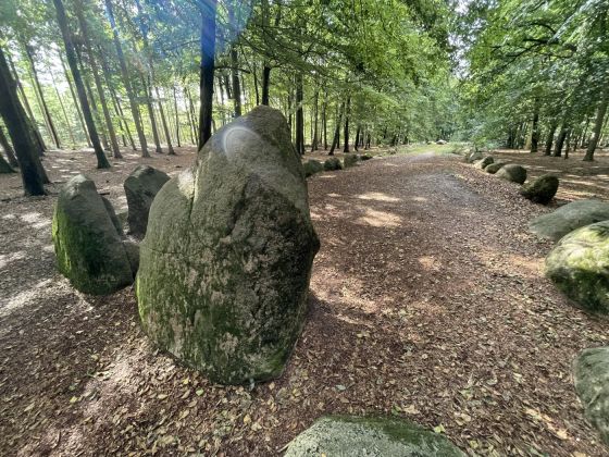 Visbeker Bräutigam 3 (Long Barrow)
