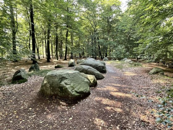 Visbeker Bräutigam 3 (Long Barrow)