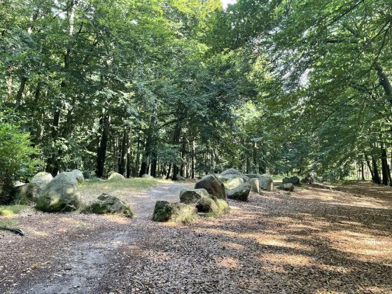 Visbeker Bräutigam 3 (Long Barrow)