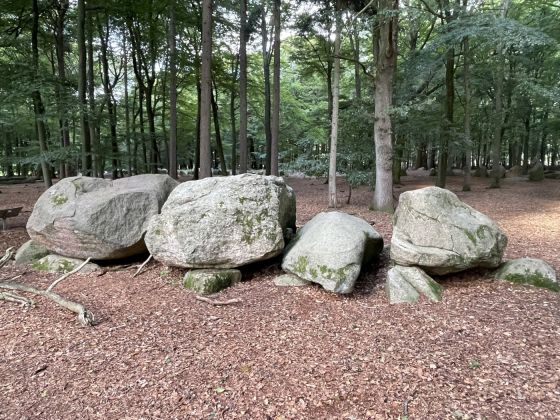 Visbeker Bräutigam 5 (Chambered Tomb)