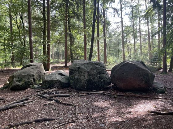 Visbeker Bräutigam 5 (Chambered Tomb)