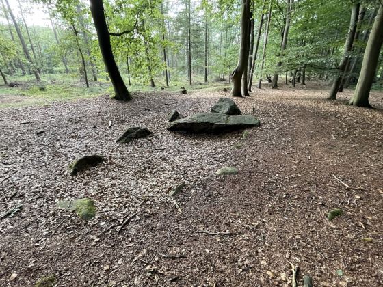 Visbeker Bräutigam 4 (Passage Grave)