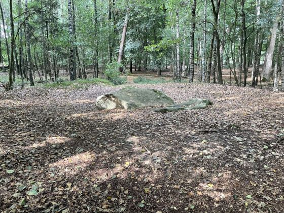 Visbeker Bräutigam 2 (Tumulus (France and Brittany))