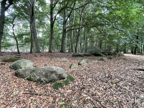 Visbeker Bräutigam 1 (Passage Grave)