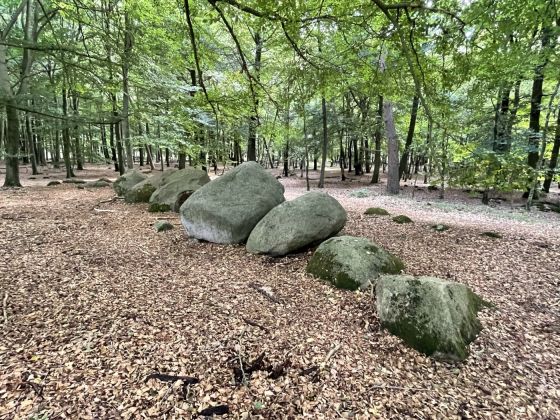 Visbeker Bräutigam 1 (Passage Grave)