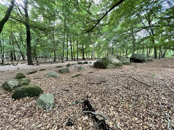 Visbeker Bräutigam 1 (Passage Grave)