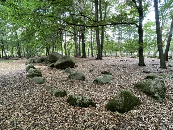 Visbeker Bräutigam 1 (Passage Grave)