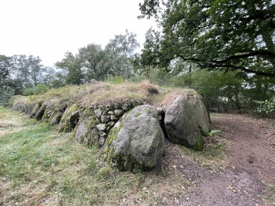 Kleinenknetener Steine 1 (Passage Grave)