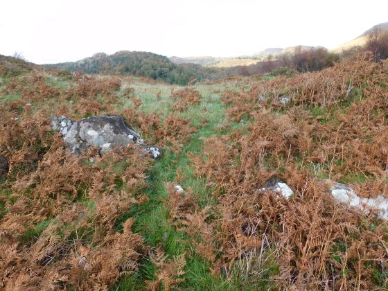 Creag An Fhamhair (Hillfort)