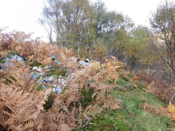 Creag An Fhamhair (Hillfort)