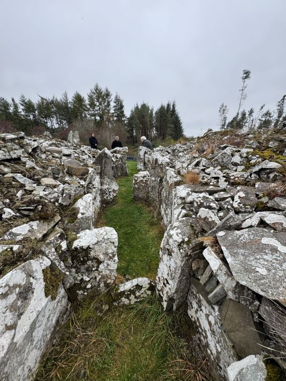 Annaghmare (Court Tomb)