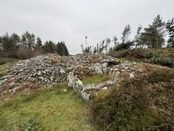 Annaghmare (Court Tomb)